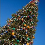 елка балаково