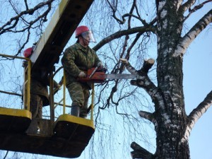 опиловка
