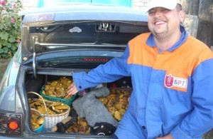 губанов грибы