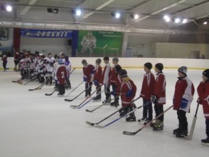 золотая шайба_Кристаллик