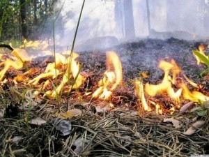 пожароопасный сезон