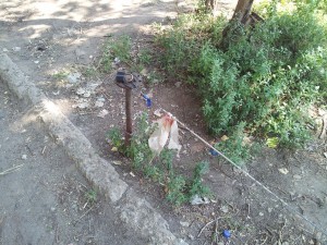 трос_парковка_захват земли