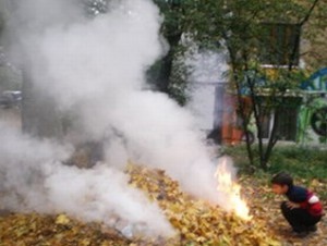 жгут листву