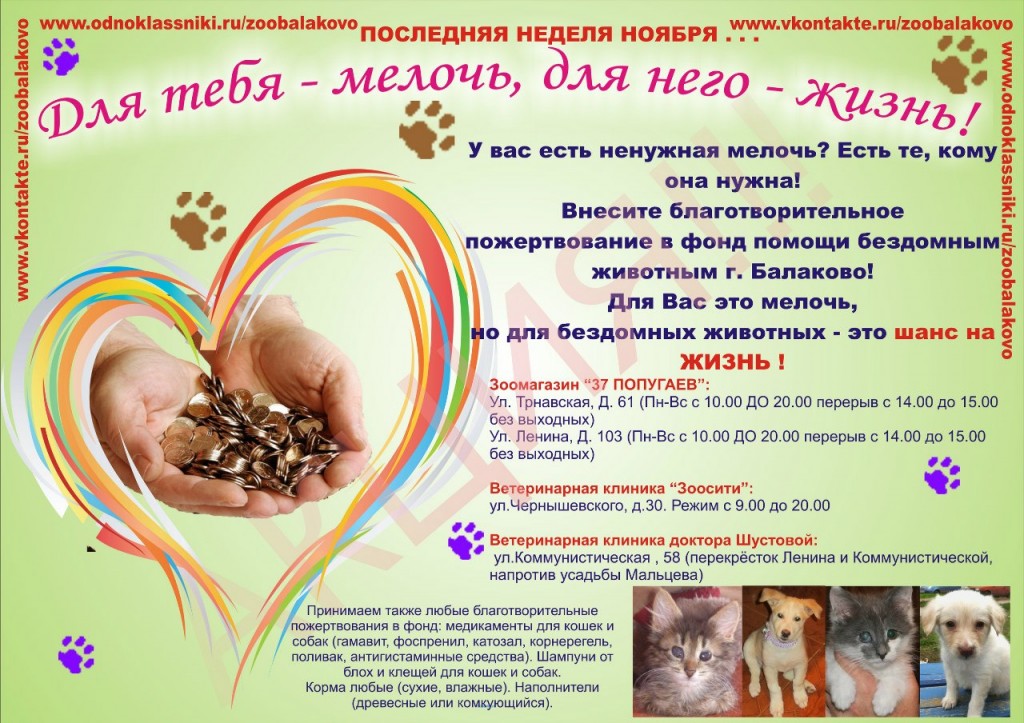 жизнь за монетку