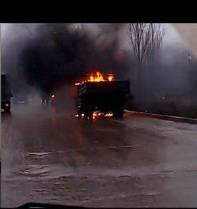 газон