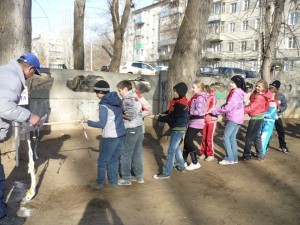ровесник_спортивный праздник