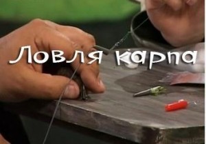 рыбалка_карп