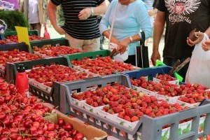leaf-market-karlskrona-2012-strawberries