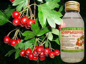 настойка боярышника