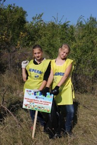 На месте уборки установили таблички