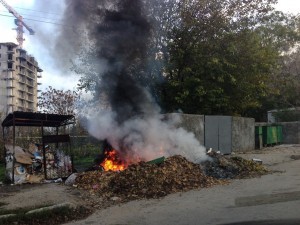 мусор_пожар_поджог