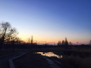 хемикомп