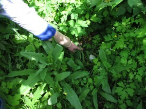 наркотики_закладки