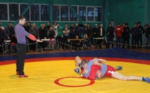 самбо гу мвд