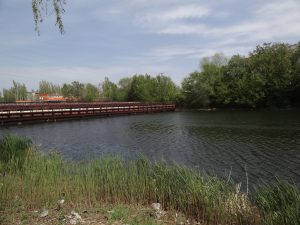 озеро линево балаково