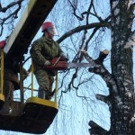 Сегодня, 10 апреля, коммунальные службы продолжат производить опиловку деревьев по Ивановскому шоссе