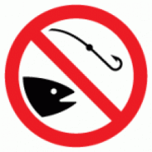 запрет_ловля рыбы_нерест