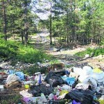 В Балакове прокуратура проверила деятельность СНТ «Берег Волги» и выявила нарушение требований природоохранного законодательства