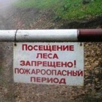 В лесах Саратовской области с сегодняшнего дня устанавливается особый противопожарный режим