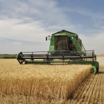 Аграрии Саратовской области собрали первый миллион тонн зерна