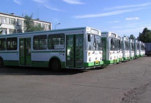 автобусы