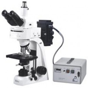 флуоресцентный микроскоп