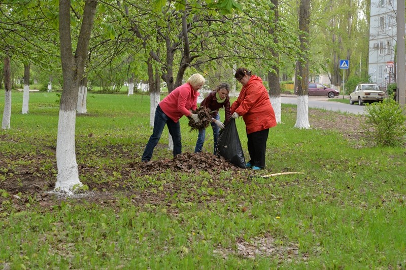 Генеральная уборка проект минприроды