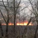 Вчера вечером спутниками космического мониторинга в районе села Сухой Отрог Балаковского района зафиксировано возгорание камыша