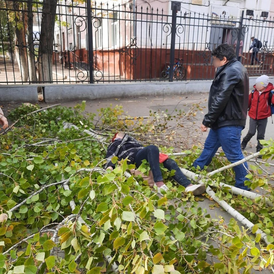 В Саратове ветка дерева упала на 74-летнюю женщину. Пострадавшая в больнице  | 12.10.2023 | Балаково - БезФормата