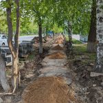 Сергей Грачав: в парке «Центральный» при демонтаже старого тротуара строители повредили деревья