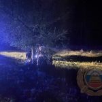 Трагическое ДТП в Балаковском районе: два молодых человека погибли