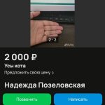 Необычная продажа на Avito: жительница Балаково предлагает кошачий ус за 2000 рублей