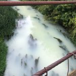 Молочная река… В Аткарске река окрасилась в белый цвет