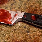 Жительница Балаково, нанесшая своему сожителю удар ножом в живот, проведет 8 лет в колонии