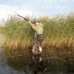 В Саратовской области открыта весенняя охота уток