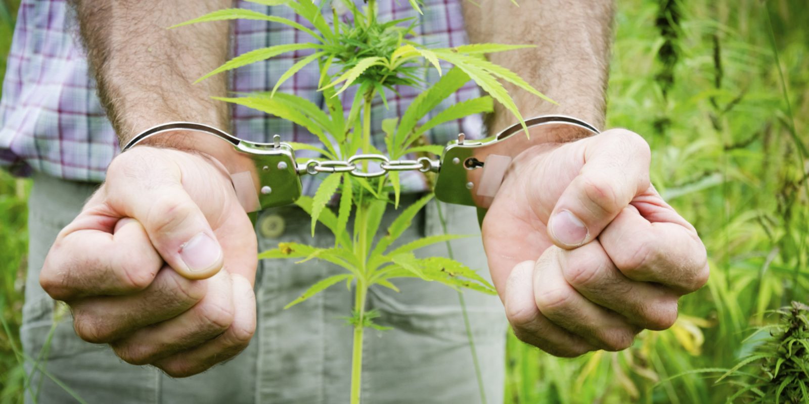 наказание за распространение и хранение марихуаны